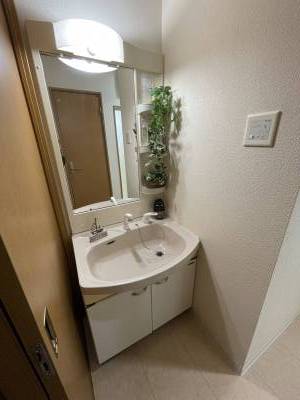 シャワー付き洗面化粧台です