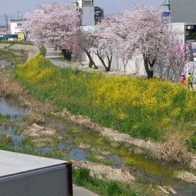 2階玄関からの春景色