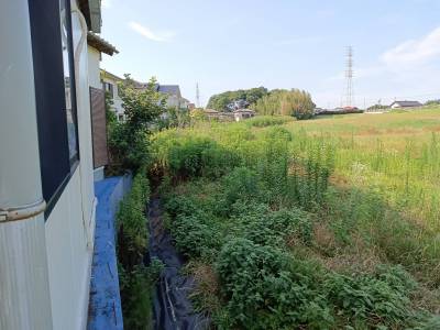 東側風景　構築物がなく開けているので夜空も楽しめます♪