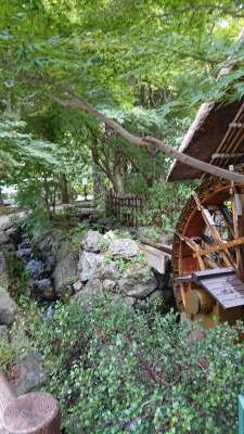 神代植物公園温水プール図書館深大寺東京のオアシスが生活圏です