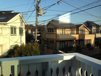 部屋から井の頭公園が臨めます