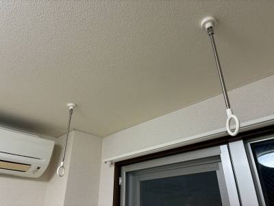 ホスクリーンを設置しています。