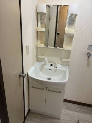 シャワーヘッド伸縮可能で朝シャンも可