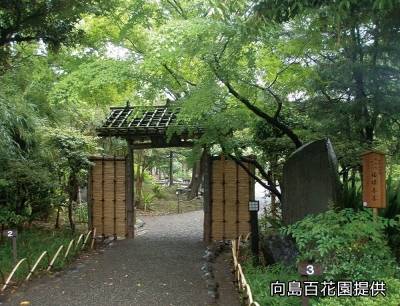 国の名勝・史跡指定：向島百花園