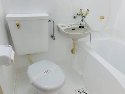 お風呂とトイレは白色です