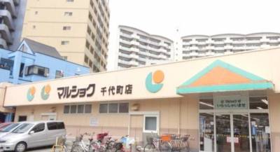 約５００メートル！！