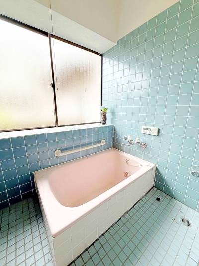 青タイルに広い浴槽。シャワー付きで実用的