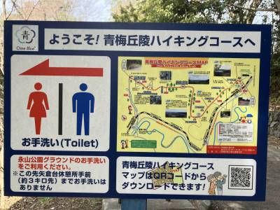散歩する人もたくさんいる丘陵歩き。憧れのスローライフを楽しむ