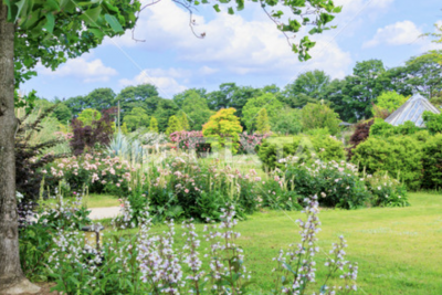 自然に囲まれたベルファームでリフレッシュ♪