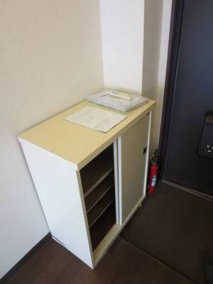 お一人なら十分な靴入れ