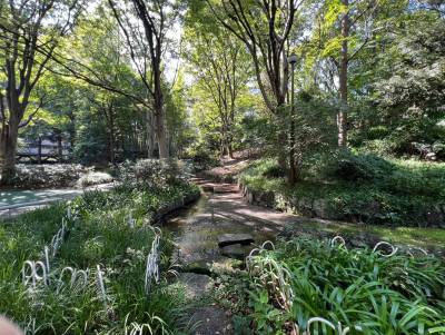 公園がとても多いです。小川、滝がある公園も近いです♪