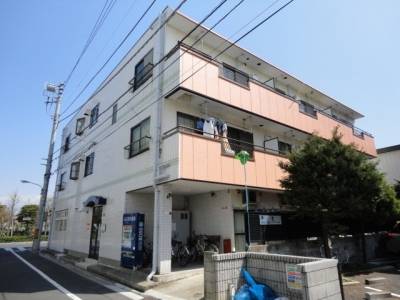 適度な日当たり、採光、風通し