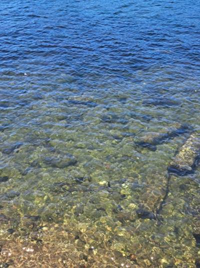 毎日海を見ながらの生活になります。