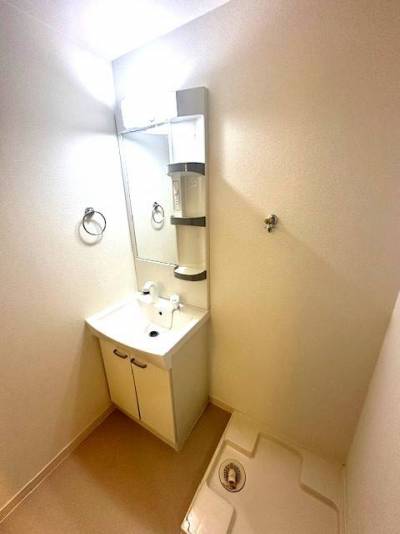 独立洗面台、室内洗濯機置場があります。