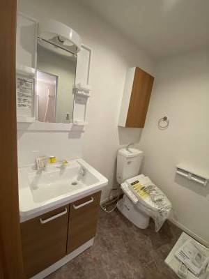 独立洗面台の水栓はシャワーノズルタイプ、温水洗浄トイレ