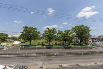 白山公園の前だから将来建物が建たなくて日当たり安心です