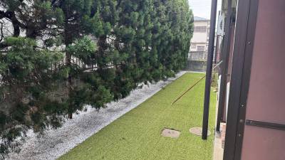 窓の向こうは人工芝と高木の緑です！