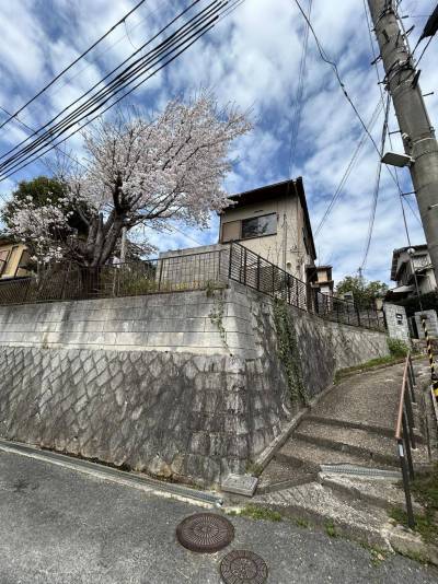 春には家の窓から満開の桜が見えます。桜の先は生駒山