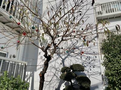 マンションの敷地周囲の庭には季節ごとの花が咲きます