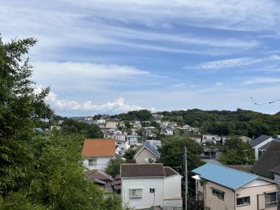 敷地からの眺め