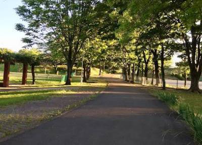 蘇南公園　散歩、ジョギング、スポーツに捗ります！