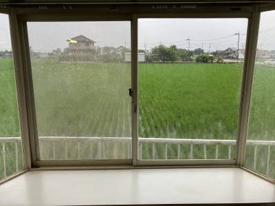 リビングの窓から見た景色です。
