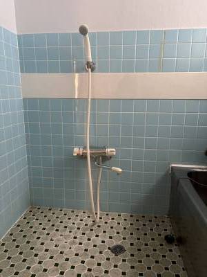 シャワー新品に交換済み