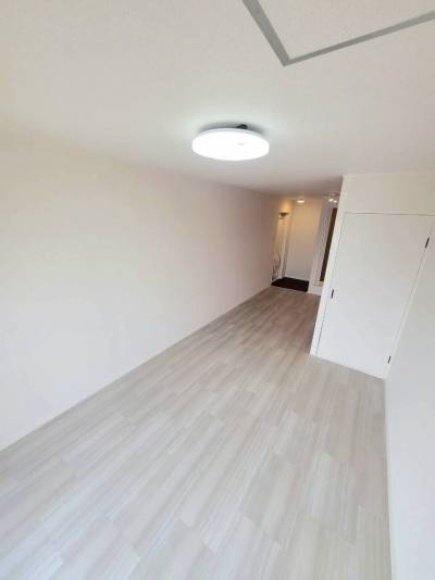 角度によってピンクのアクセントは見えませんよ。