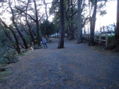 徒歩７～８分にある憩いの
「八雲神社」