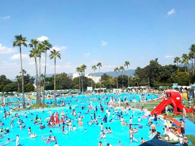 久宝寺緑地には夏は大きなプールもあります