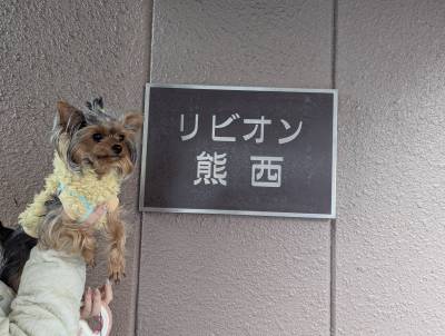 今回はリビオン熊西です！熊西駅から徒歩1分の駅近物件♪