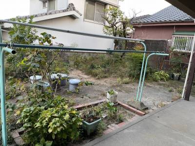 家の裏側にある庭です　広くて桜島が2階から見えます