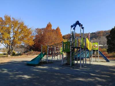 近くにアスレチックがある公園は重宝します！