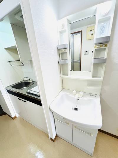 独立洗面所、その右側冷蔵庫置場