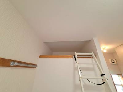 収納専用のロフト(寝る広さはありません)