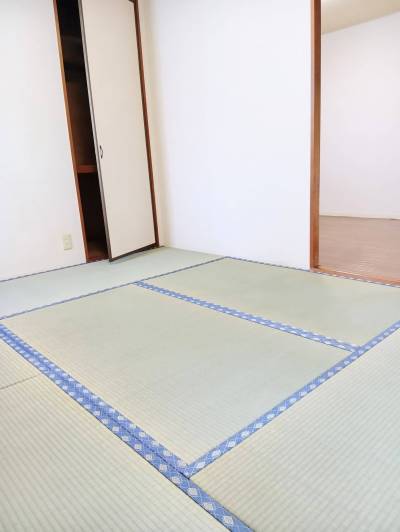 畳＝NEW♪日当たり良好！こたつ好き？