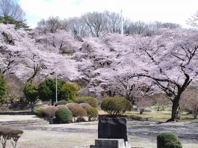 長峰公園　徒歩2分　春は桜やツツジ、秋は紅葉がきれいです