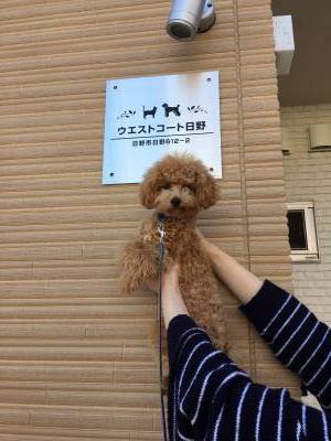 ワンちゃん、ねこちゃんと快適に過ごせます。