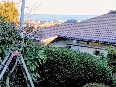 海の見えるお庭。BBQも家庭菜園も楽しめます。