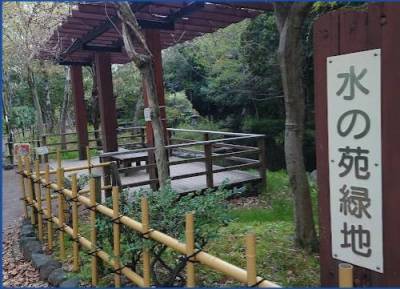 街中ながら、カワセミが棲み蛍が舞う緑地もすぐそば