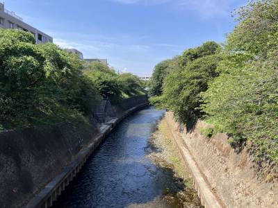 周辺には川や公園があり、散歩を楽しむことができます♪