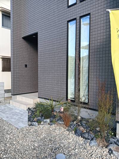 ロックガーデンです
水やりは最低限でOK