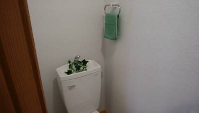トイレは和式から洋式に交換済み