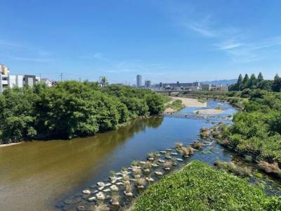 自然豊かな明石川の景色