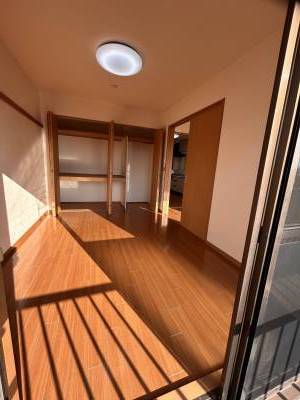 個室　元々和室を洋間にしたので、奥行きのある収納