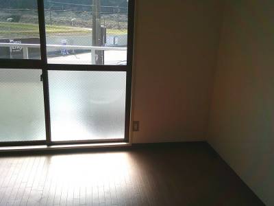 太陽光バッチリ