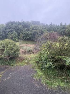 山林と溜池を見下ろせるベランダからの景色