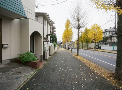 前面道路は大通りで広々しています！
