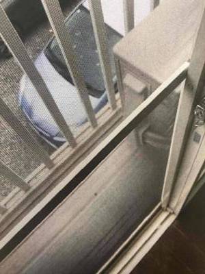 網戸も新規張替え。風通しも良し。