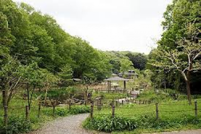 県立座間谷戸山公園